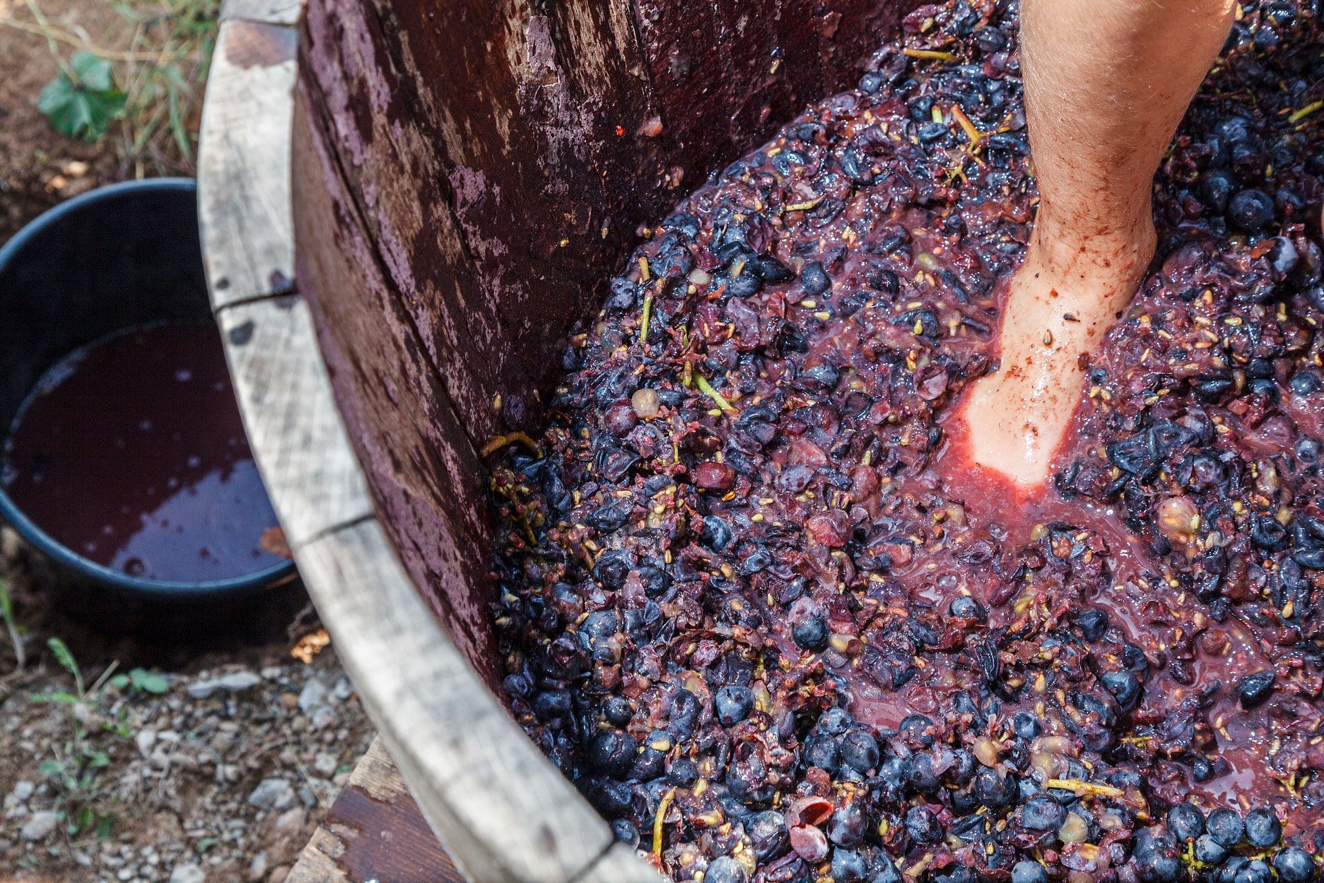 Foot Crushing Grapes